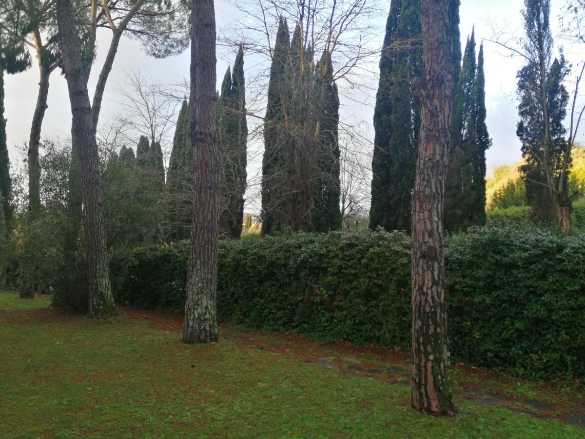 Due Passi Nel Parco Con Parcheggio Gratuito Apartman Firenze Kültér fotó