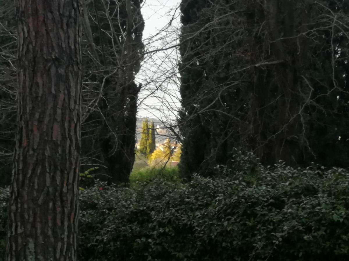 La Casa Di Duccio Con Parcheggio Gratuito Apartman Firenze Kültér fotó
